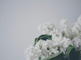 veri-ivanova-whOkVvf0_hU-unsplash (1)